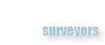 surveyors